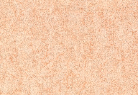 Faded Peach Wallcovering