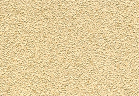 Light Tan Sandpaper Wallcovering